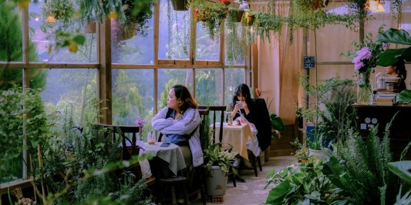 Thời điểm đẹp nhất để ghé quán là 8 giờ sáng và 2 giờ chiều (Nguồn: Internet)