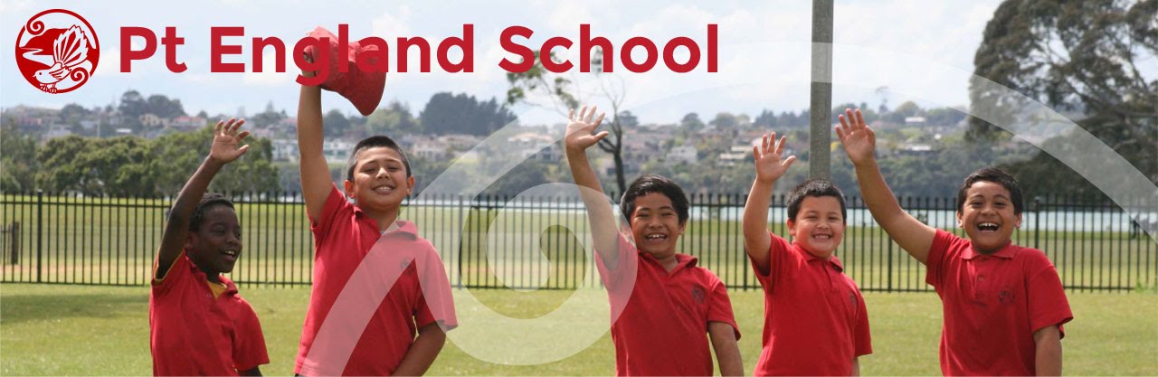 Image result for point england school