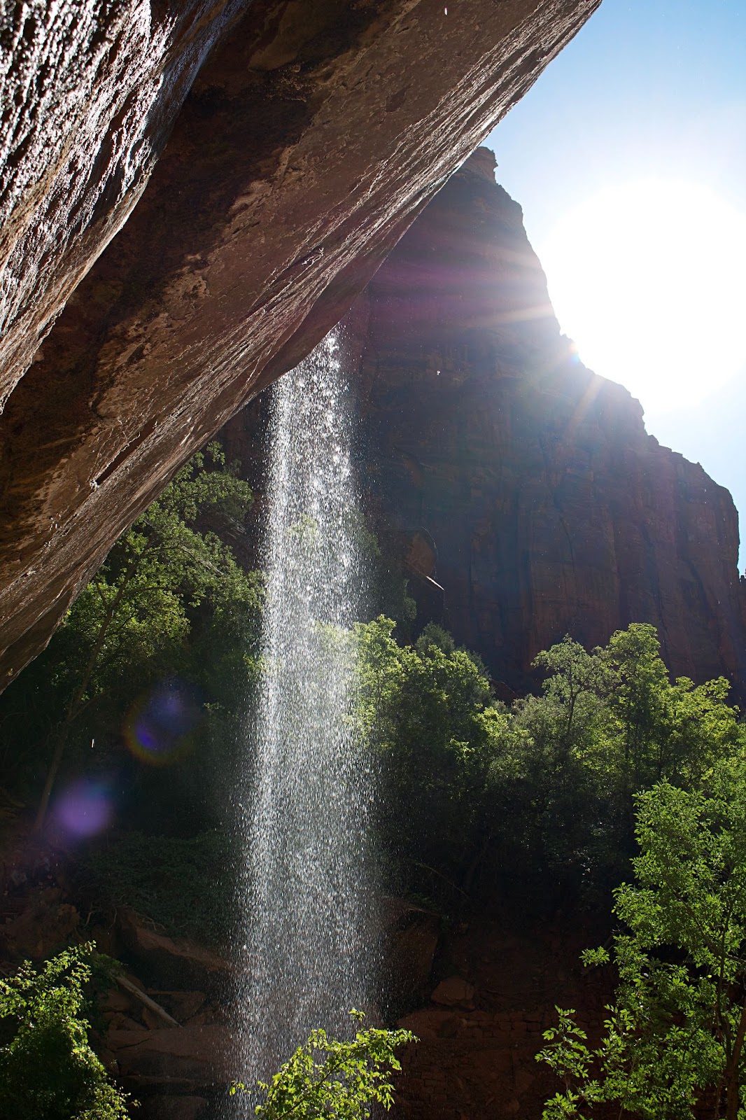 Is Zion National Park a Desert? (Explained!)