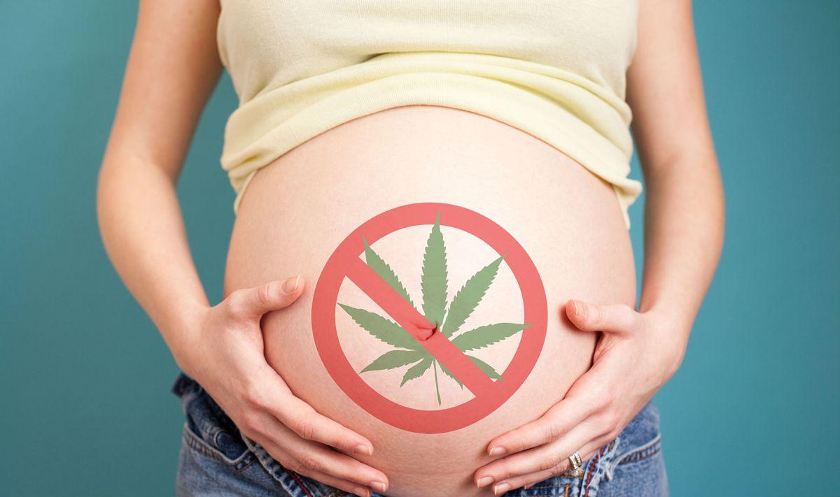 Health risks of cannabis use during pregnancy – Pregnancy to Parenting
