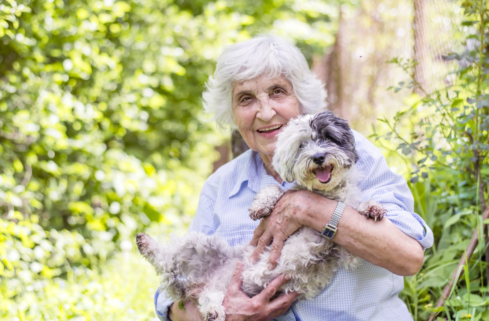 A smiling senior woman holds a small dog as part of pet therapy