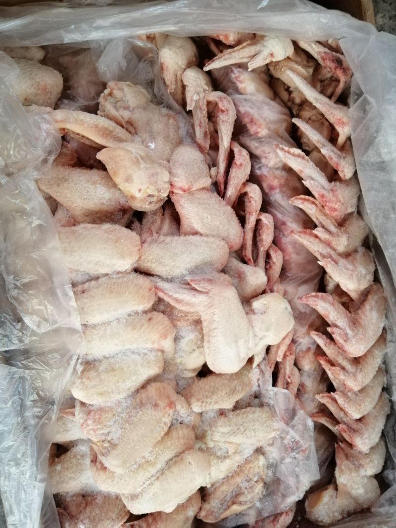 Lắp đặt kho lạnh bảo quản thực phẩm đông lạnh tại Bình Phước