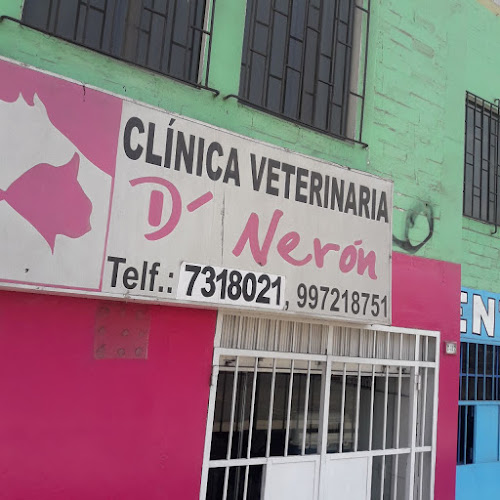 Opiniones de D' Nerón en Callao - Veterinario