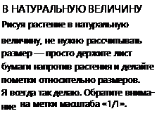 D:\0 wd yedek\acr yedek\1 film indirme\dnevnik_hudozhnika_naturalista_dosyalar\image058.png