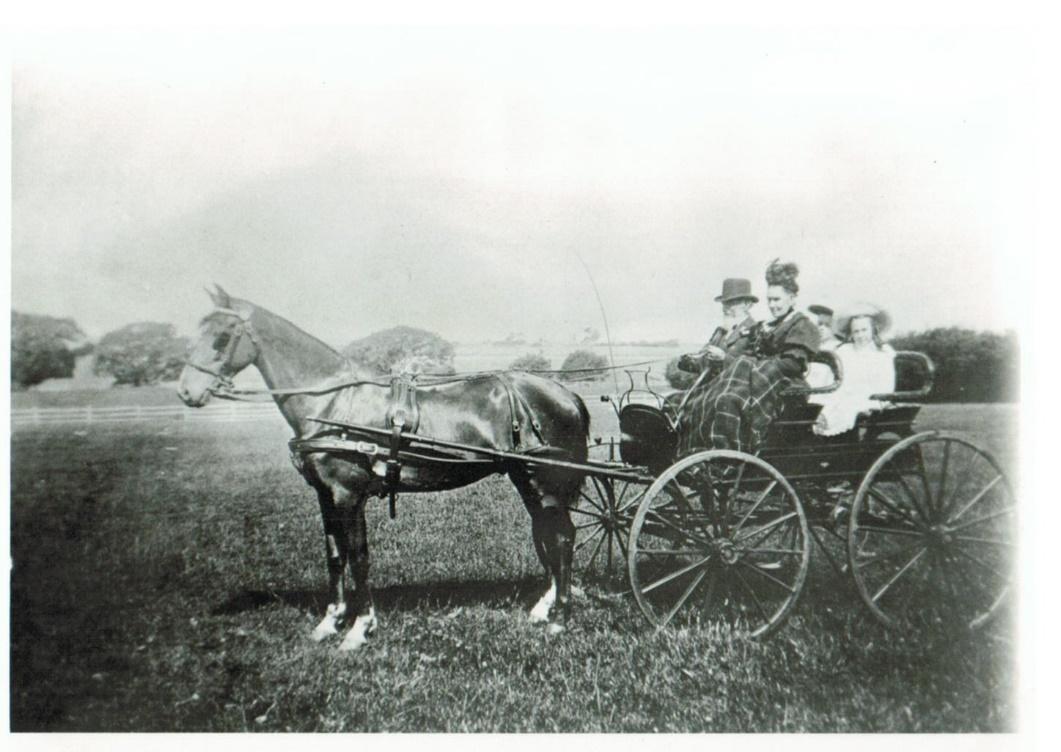A horse pulling a carriage

Description automatically generated with medium confidence