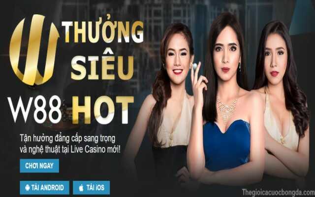 Tìm hiểu thông tin nhà cái cá cược trực tuyến W88