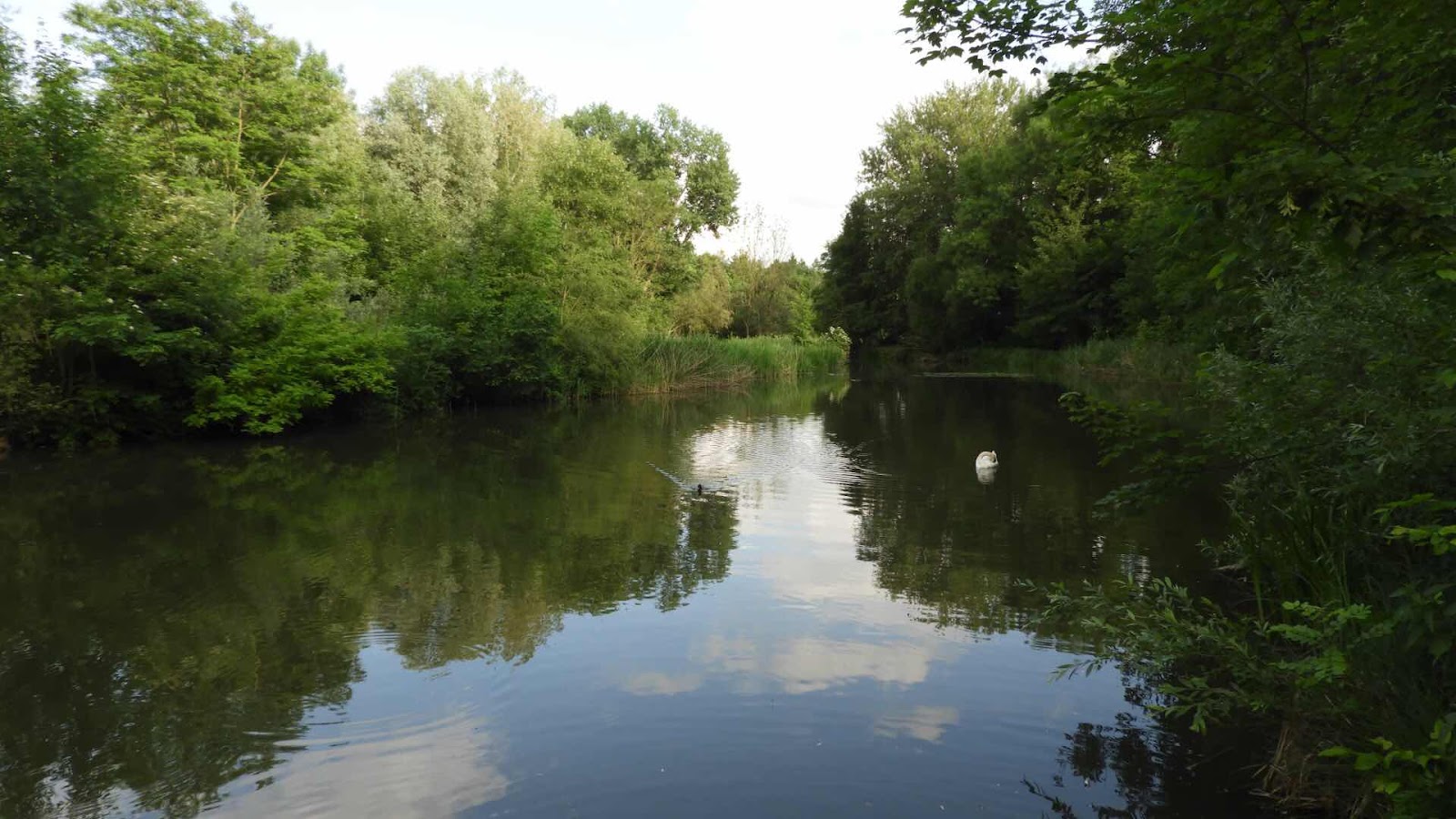 Günzburg - river Günz