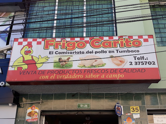 Frigo Carito - Quito
