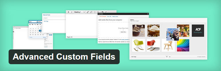 38 campos de postagem personalizados avançados plugin wordpress 2016 wpexplorer