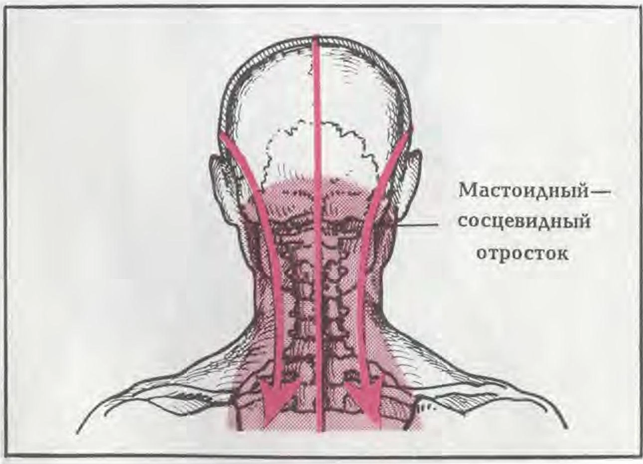 https://lh6.googleusercontent.com/kLTINn7VXVS9Ho1ob8KC-q_-RFYjLH5Q_bZcnTg8aHTBpmprihQkXxwhQSDx7FjzdLHeRDW7Md2yW7kHM4qTnSBrdz4mZ05w4J8KZZtzQVE7yL1MiCacqYodTdHzg7NJdJM6avYGIjeRrAR3YNbqbw