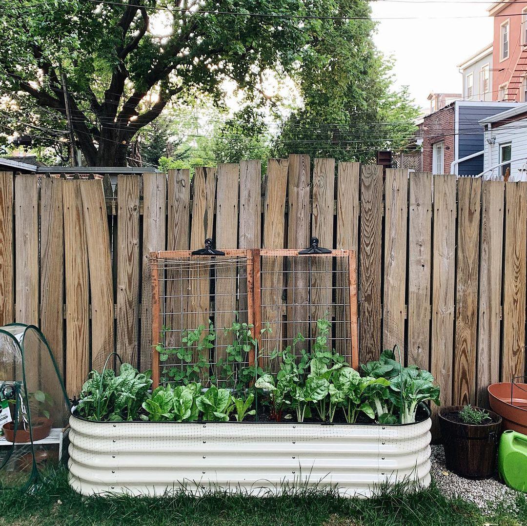 Why Is It a Good Idea To Grow Your Plants In a Rounded Raised Garden Bed?