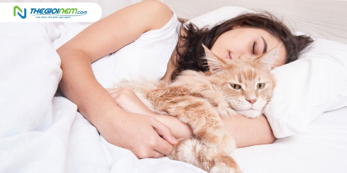 Giải đáp thắc mắc: Ngủ với mèo có sao không?