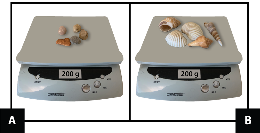 A: A scale with 5 small stones shows 200 grams. B: A scale with 5 shells shows 200 grams.