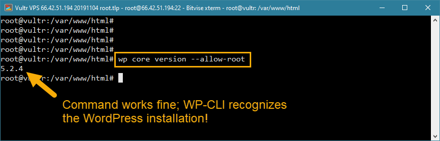 solução de erro de acesso root wp-cli wordpress