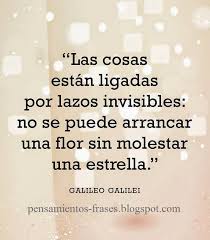 Las cosas están ligadas por lazos invisibles: no se puede arrancar una flor  sin molestar a una estrella”. Frase atribuida a Galileo Galilei, astrónomo,  filósofo, matemático y físico italiano,(1564-1642 )compartida en el