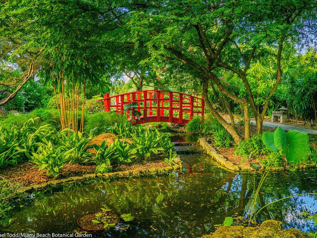 Miami Beach Botanical Garden | Japanese Garden
