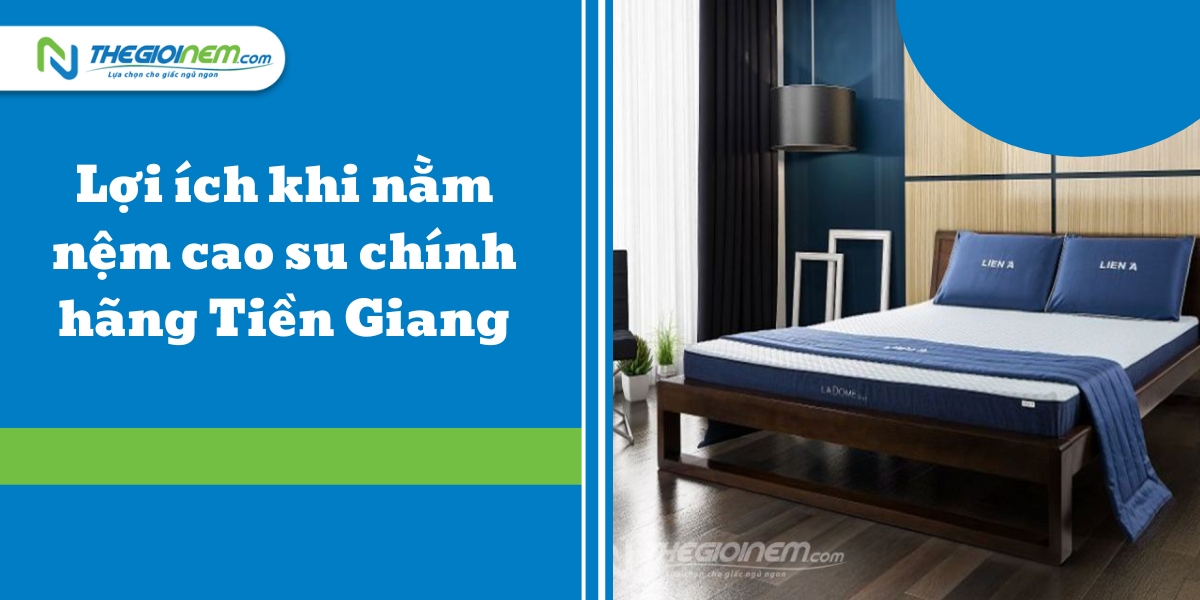 Cửa hàng bán nệm cao su chính hãng Tiền Giang - Thế Giới Nệm