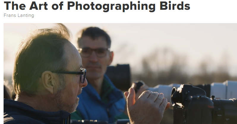 CreativeLive Photography Courses: The Art of Photographing Birds by Frans Lanting