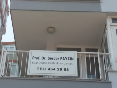Prof. Dr. Serdar Payzın