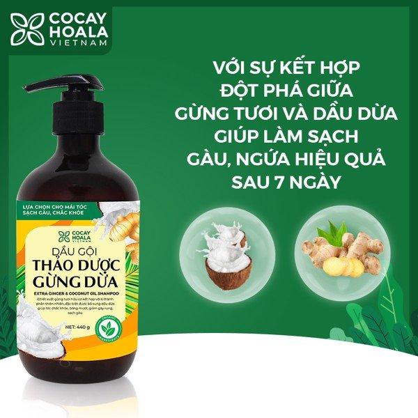 Dầu gội thảo dược gừng dừa cỏ cây hoa lá làm sạch gàu hiệu quả chỉ sau 7 ngày sử dụng