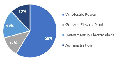 Chart, pie chart

Description automatically generated