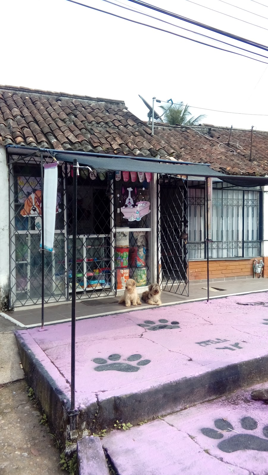 Mi Lulu