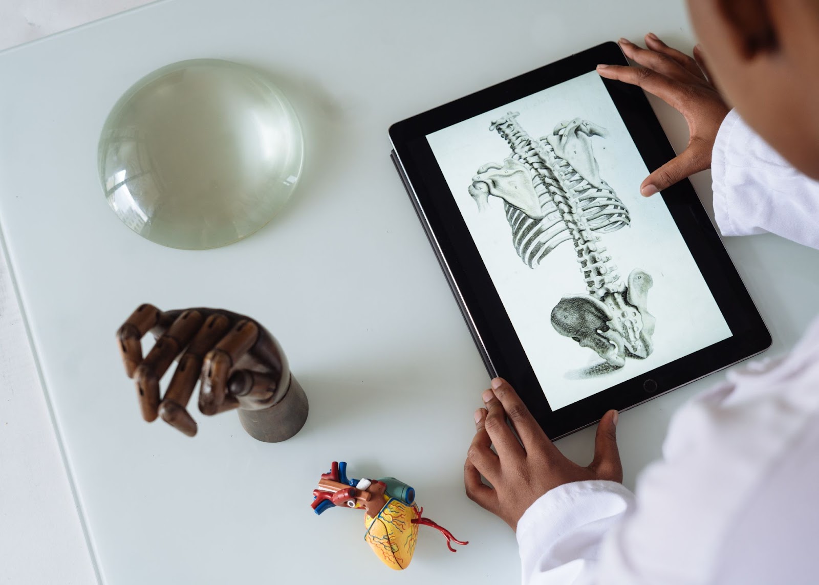 medical student looking at a tablet with a picture of the skeletal structure of a human