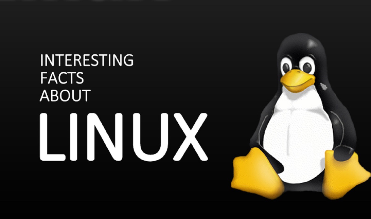 Interesting Facts About Linux