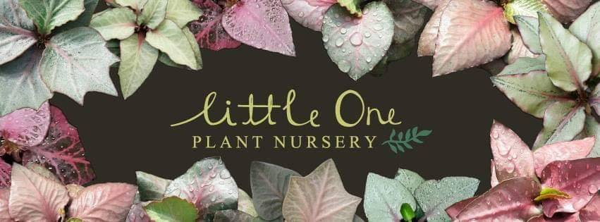 Little One Plant Nursery