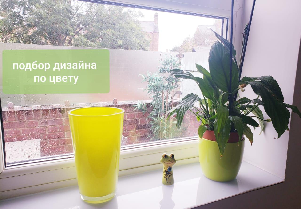 A picture containing window, table, plant, cup

Description automatically generated