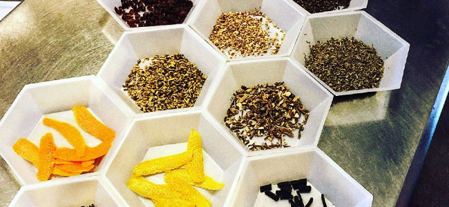 A Collection Of Botanicals Used By Backwards Distilling Company