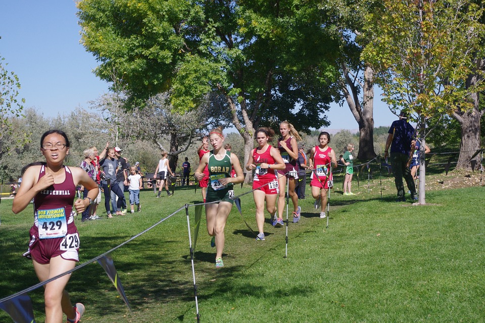 Free photo: Cross Country, Race, Running - Free Image on Pixabay ...
