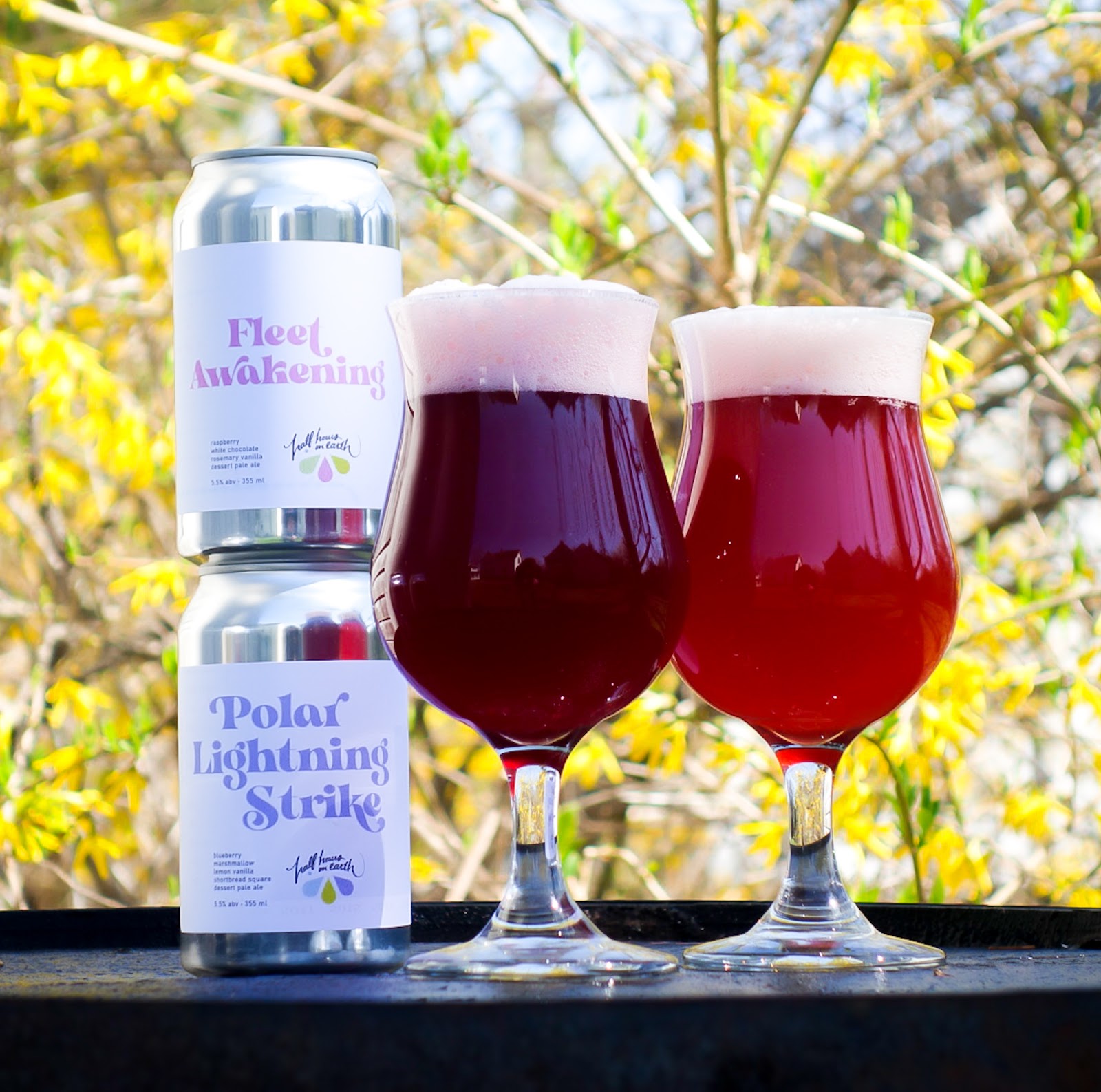 A photo of the cans for Fleet Awakening and Polar Lightning Strike beside two tulip glasses with the beers in them.  One is a dark plum colour and the other is a bright raspberry. 