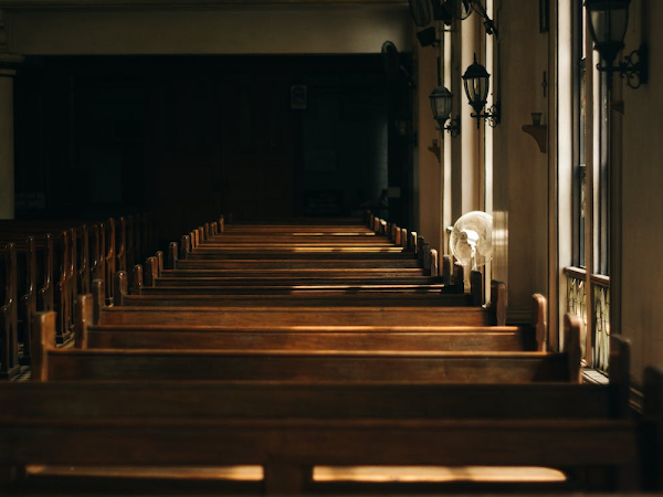 Why You Should Go Back to Church
