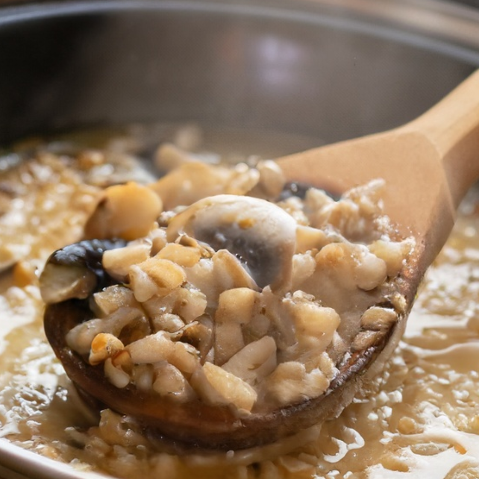 mushroom barley soup recipe