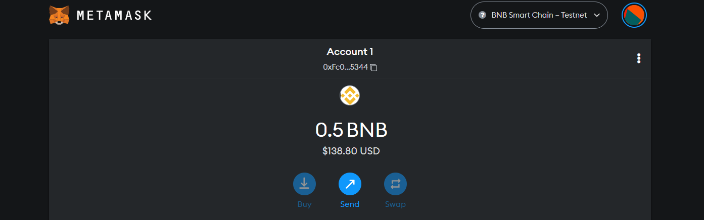 BNB test tokens amount in a MetaMask wallet