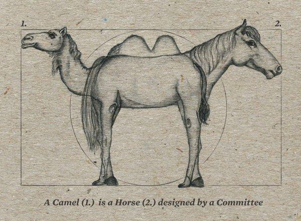 Image result for camel horse designed by committee