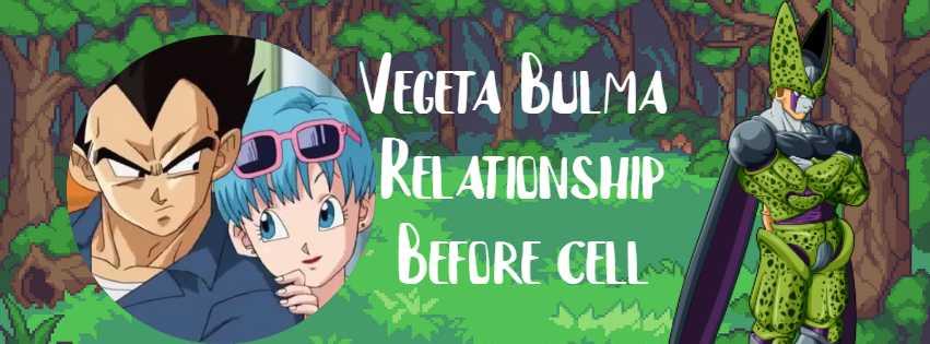 Vegeta and Balma's relationship before Cell latest news