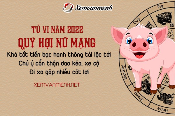 tu-vi-tuoi-quy-hoi-nam-2022-nu-mang-1983