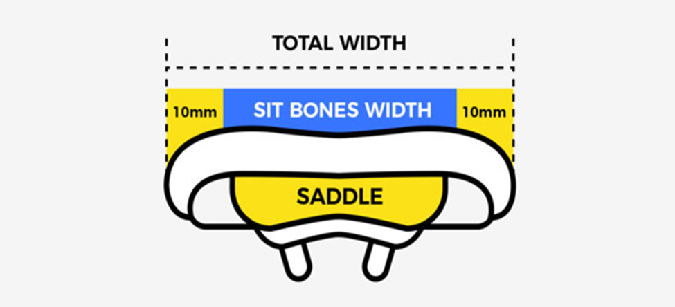 It is vital that your mountain bike saddle is the correct size and width for your anthropometric measurements.
