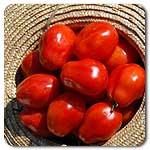 Organic Roma VF Tomato