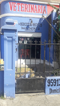 Opiniones de Clini Pet Veterinaria en Miraflores - Veterinario