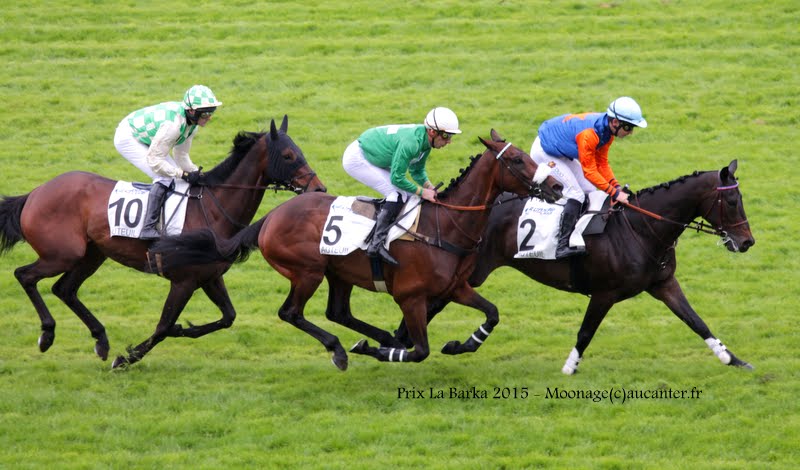 Photos Auteuil 16-05-2015 Week-end printanier de l'obstacle  GPp1Vhucbj5-88RX9EiYEyue9ZXkVpxMCM8iaG77IzbA=w800-h470-no