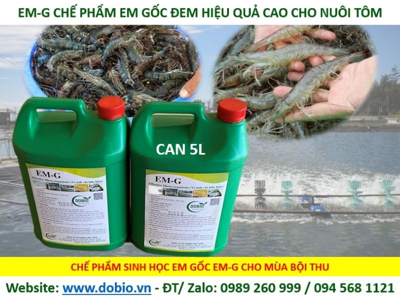 Chế phẩm sinh học EM gốc dạng lỏng