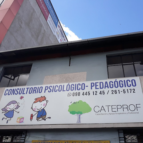 Opiniones de CATEPROF en Quito - Psicólogo