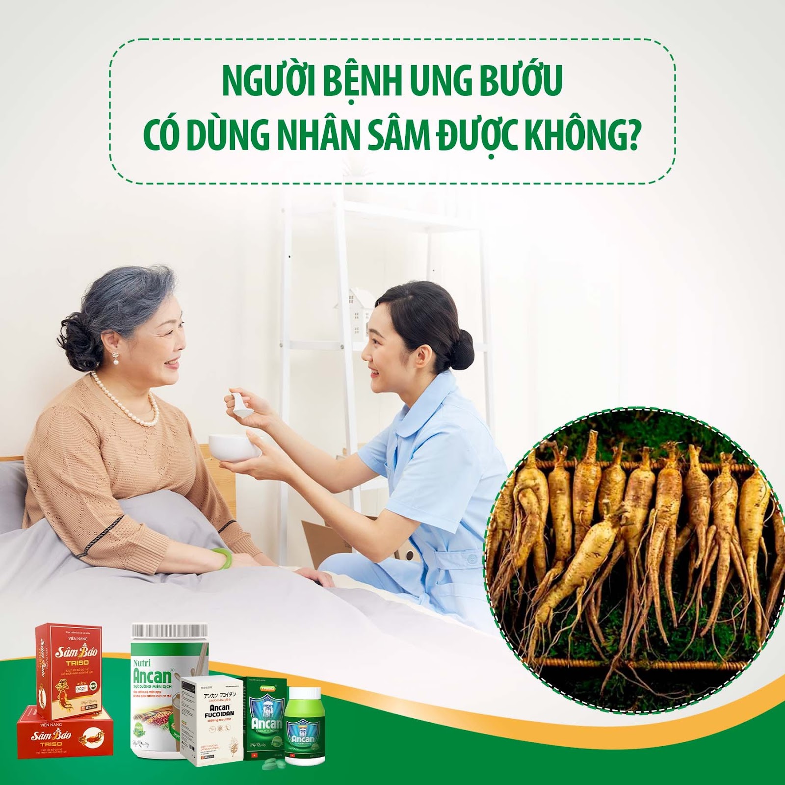 UNG BƯỚU CÓ DÙNG NHÂN SÂM ĐƯỢC KHÔNG