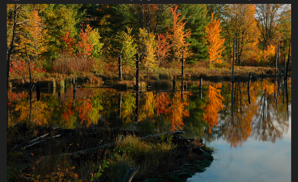 Fall colors in Sawyer County/Hayward Lakes