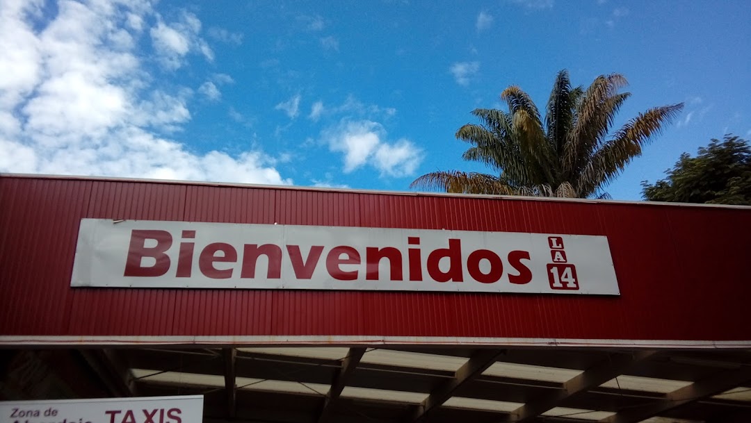 Arena