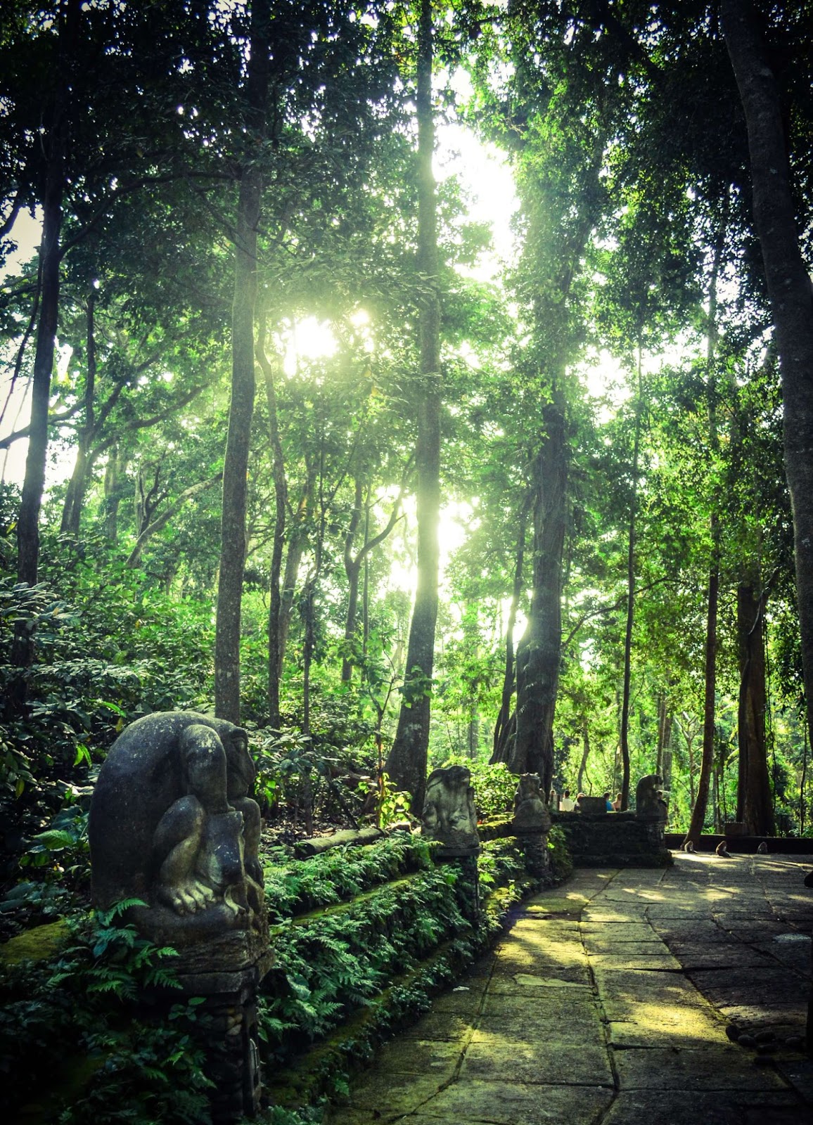ubud monkey forest, mandala suci wenara