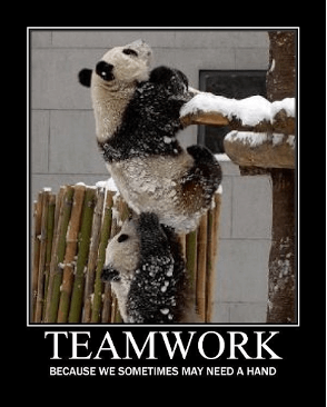 44 Fun Team Building Quotes & Memes [Work Squad Approved]